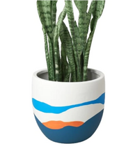 Load image into Gallery viewer, Mid Century Desert Planter - 9 Inch
