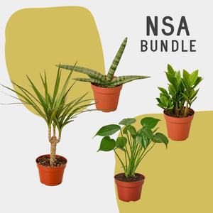 NSA Bundle