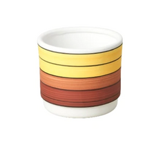Load image into Gallery viewer, Polychrome Cylinder Pot - 5.5 Inch
