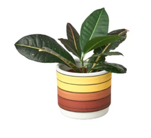 Load image into Gallery viewer, Polychrome Cylinder Pot - 5.5 Inch
